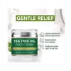 Creme para Pés com Óleo de Melaleuca para Exportação Transfronteiriça 50g Creme para Pés com Óleo de Melaleuca Entrega Local Transfronteiriça