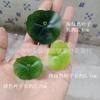 Simulación hoja de cobre de 12 hojas hoja de cobre hoja de oro simulación mini hoja de loto plástico simulación planta verde flores y plantas falsas