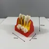 Modelo Dental Escovação Oral Prótese Dentária Boca Inteira Dental Removível Gengiva Macia Transparente Resina para Implante Preparo Dentário Molde de Dente
