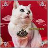 Collar de Cadena de Perlas para Gato Collar de Perro Ajustable Collar de Gato Collar de Collar Alemán Collar de Collar de Mariposa de Corona de Fénix Antigua para Gato Mascota