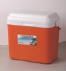 Incubadora de exterior para coche, refrigerador para exteriores de 13 litros y 33 litros, caja para mantener la frescura al aire libre, bolsa de hielo portátil impresa, caja para llevar LG