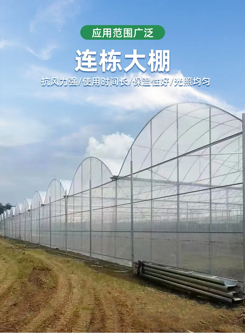 连栋大棚_03