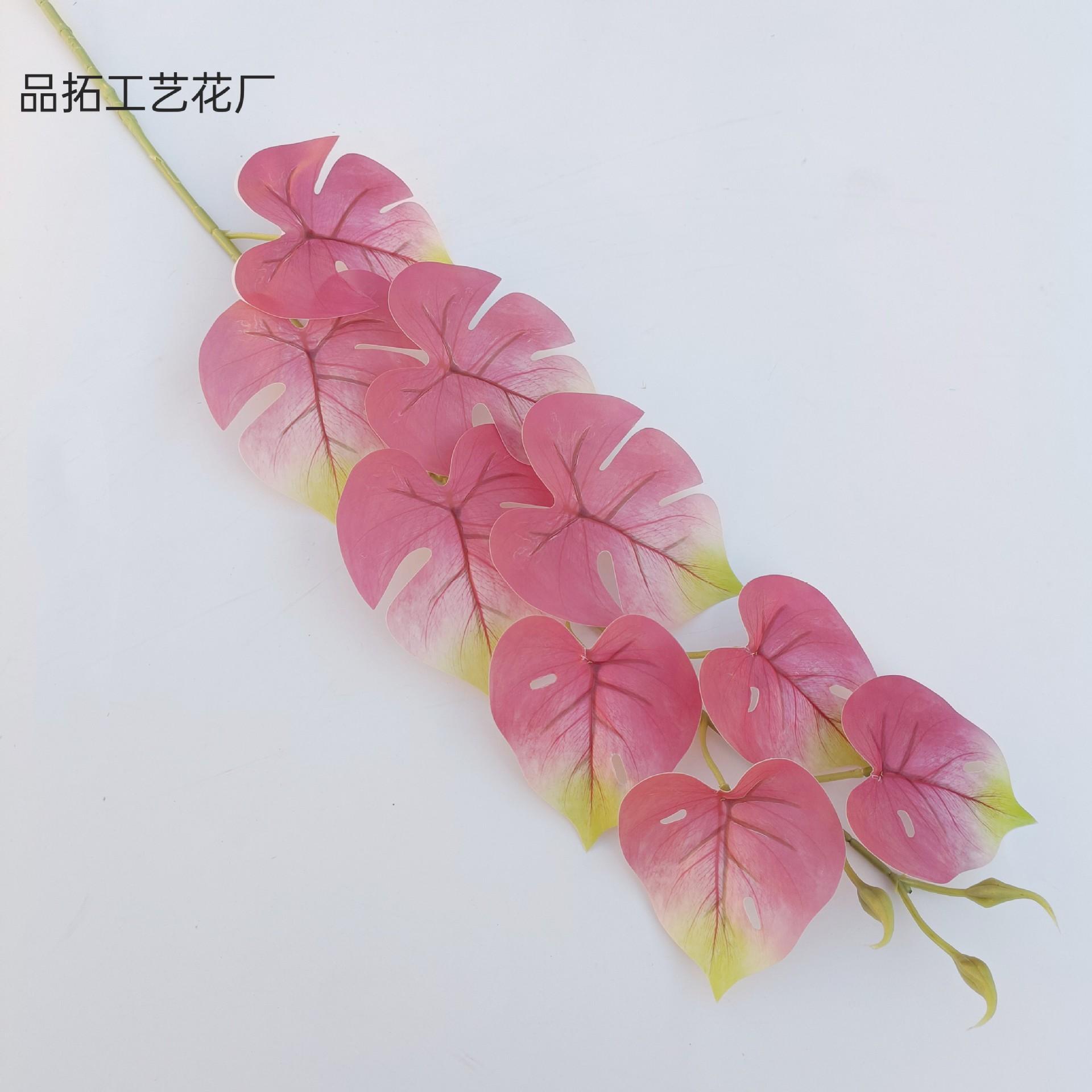 bfa35fc0c04a0fc426bb43bef4815b