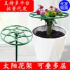 Suporte em Forma de Girassol para Pirulitos, Suporte de Flores para Orquídea Garra de Caranguejo, Folhas de Enxerto, Hera Verde, Suporte Simples e Multicamadas para Plantas Trepadeiras