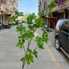 Planta Artificial Verde Flor de Sino Japonesa Borracha Tecido Realista Madeira de Cavalo Dinâmica Planta Estilo Nórdico Decoração Estilo Zen