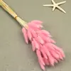 Flores Secas, Cola de Conejo, 60 Piezas/Manojo, Ramo de Lujo Ligero, Adornos de Flores Reales, Pequeño Ramo de Flores Eternas Regalo, Materiales de Flores Reales