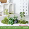 Mini Adorno de Paisaje de Musgo Artificial para Ventana y Escalera