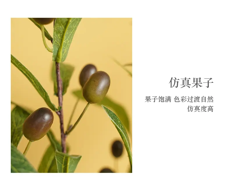 罗加4叉橄榄带果_07.jpg
