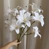 [Material de flor blanca] Arreglo floral de hortensia, rosa, flor de pasto escarchado con decoración de material de hoja de niebla de techo de pasto, flor de simulación para boda