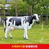 Escultura de plástico reforzado con fibra de vidrio de vaca grande para exteriores, modelo animal de simulación, adornos para granjas, centros comerciales, decoración de ventanas, accesorios