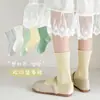 Calcetines para Niñas para Primavera y Otoño, Calcetines de Algodón Peinado Sin Costuras de Tubo Medio, Calcetines Lisos Estilo Coreano para Estudiantes, Calcetines de Moda Clase A