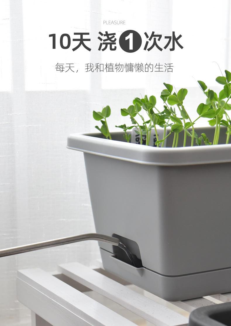 详情图片_11.jpg