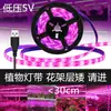 Luz de Crecimiento para Plantas USB 5V Transfronteriza con LED 2835 Impermeable para Verduras, Flores y Suculentas Luz de Crecimiento para Plantas
