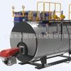 Caldeira horizontal da fábrica de Jinjiang da geração geral de Fujian Quanzhou da caldeira da unidade da água quente do vácuo do gás combustível
