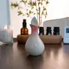Botella de Perfume, Recipiente para Aceites Esenciales, Cuenco para Aceites Esenciales, Botella de Aceite Esencial con Forma de Hoja, Bandeja de Madera, Herramientas de Masaje para Spa, para Uso en Salones de Belleza
