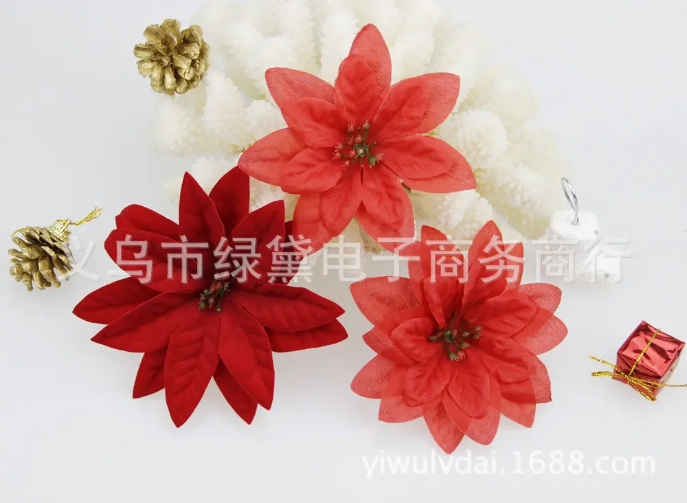 圣诞花