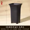 Vaso alto para árvore rica, aspargo, orquídea phalaenopsis, galhos dourados e folhas de jade, plantas em vaso especiais, bonsai, vaso de plástico quadrado