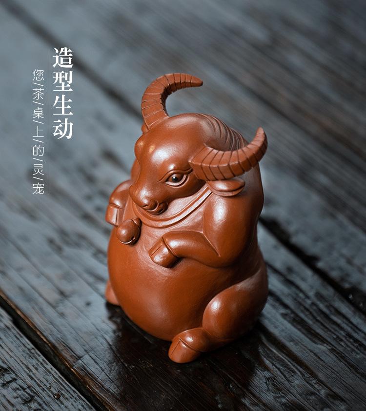 纳福牛20210325 (26).jpg