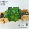 2026 Simulación de Suculentas Mini Adornos Combinación Decoración Exterior para el Hogar Plantas en Maceta Bonsái Suculentas Decoración al por Mayor