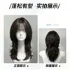 Peluca de Pelo Mullet de Alta Calidad para Mujer con Flequillo y Estilo Cola de Lobo, Versátil para Uso Diario y Cosplay, Peluca Realista de Cabeza Completa, Peluca de Fábrica de Xuchang