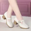 Zapatos de tira T retro versátiles de cuero suave para mujer, zapatos pequeños de cuero para primavera y otoño, zapatos Mary Jane para mujer, zapatos de tacón grueso tipo "mom", color albaricoque
