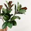 Planta Simulada Hojas de Magnolia al por Mayor Adornos de Camelia Plantas Verdes Flores de Plástico Paisajismo Arreglo Floral Ramas de Magnolia Simuladas Decorativas