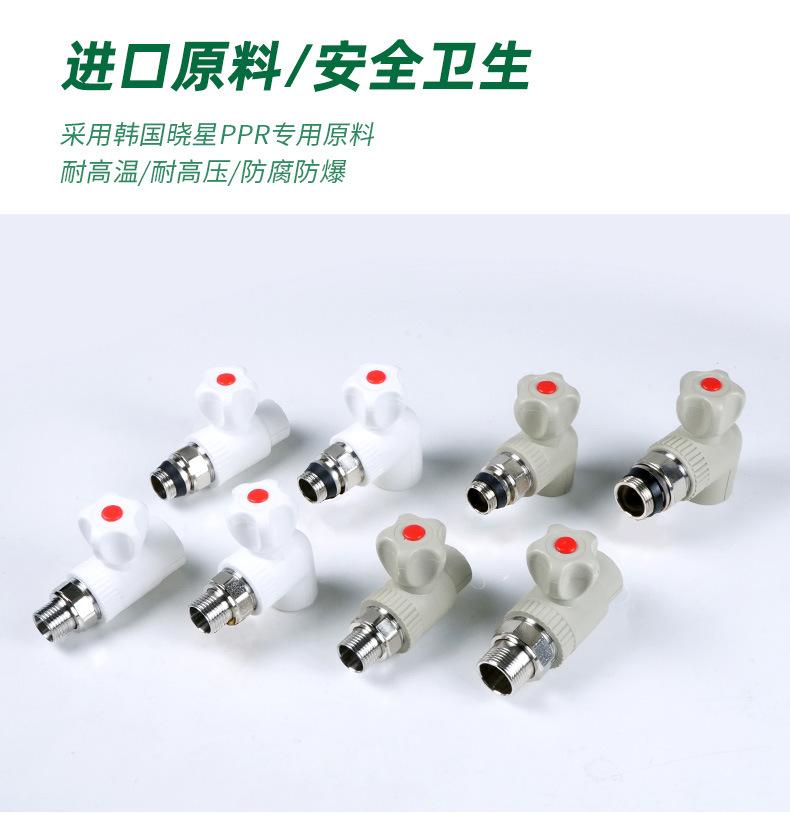 PPR温控阀现货新_05