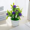 Flor Artificial en Maceta de Simulación Calla Bonsái Pequeño Artículos de Venta Caliente de Boutique de Dos Dólares Adornos de Decoración para el Hogar