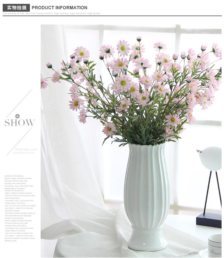 丁香菊15 (1).jpg
