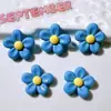 Accesorios de Resina al por Mayor Accesorios DIY Materiales Hechos a Mano Flor para Zapatos Pegatina para Vaso de Agua Pegamento en Crema Accesorios para el Cabello Flor Roja y Azul Gato