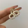 Presilha de Cabelo Pequena Fofa Estilo Japonês com Metal Diamantado Brilhante para Mulheres, Presilha Superior Traseira de Cabelo Estilo Coreano, Acessório de Cabelo Lateral