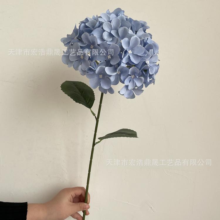 微信图片_202212121133426_副本