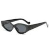 Gafas de sol de ojo de gato ovaladas personalizadas transfronterizas para mujer, montura pequeña, gafas de sol anti-ultravioleta HD, moda de comercio exterior europeo y americano