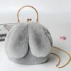 Fabricante Directo al Por Mayor Bolso con Orejas de Conejo Bolso Bandolera Bolso de Clip Cruzado Otoño e Invierno Bolso de Cadena