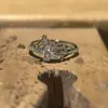 Diseño Exclusivo Deep Space Five Anillos de Boda de Lujo Ligero con Circonita para Mujer, Anillos Personalizados de Alta Gama con Flor y Luna Estelar, Apilables Nuevo Estilo