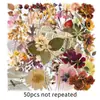 50 Piezas de Pegatinas Transparentes de Plantas Secas, Especímenes Florales Realistas y Pegatinas Decorativas de Mascotas Impermeables para Diarios