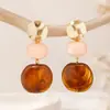 Aretes estilo Melard transfronterizos, aretes de resina ámbar, aretes geométricos vintage de carey color caramelo, aretes de mujer otoño/invierno
