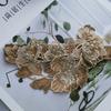 1 pieza pequeña de flor bordada estilo Chanel para puños de falda, pegatina decorativa de flores