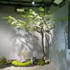 Paisagismo Interno Árvore de Bordo Artificial Bonsai, Árvore de Bordo Simulada em Vaso Planta Verde, Modelo de Chão, Planta Decorativa para Vitrine, Frete Grátis
