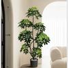 Planta de Simulación Madera Pie de Pato de Pie en Maceta Planta Verde Biónica Adornos Sala de Estar Lado del Sofá Decoración del Hogar Bonsái Árbol Falso
