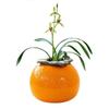 Grande Gedali Desktop Ornamentos Decorativos Recipiente Criativo Vaso Laranja Cerâmica Vaso de Flores Hidropônico Verde Arochus Planta Hidropônica