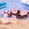 Micro Paisagem Luminous Desenho Animado Rosa Fosco Porco Mengli Decorações DIY Acessórios para Pendurar Pequenos Enfeites de Mesa