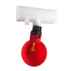 Suministro directo de fábrica exportación Bebedero automático para aves paloma codorniz bebedero rojo dispensador de agua para beber para pollos
