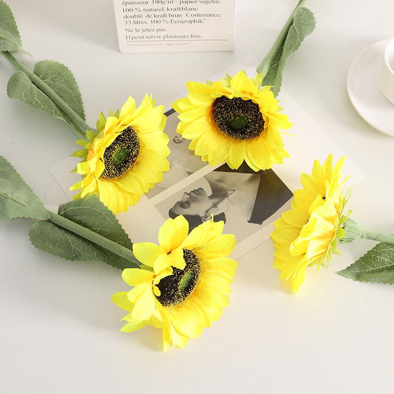 单头皮管 (3).JPG