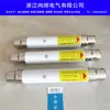 Fusible de Alto Voltaje Xrnt-10Kv/10A20A31.5A40A Alta Capacidad de Ruptura Limitador de Corriente Tubo Resistencia al Voltaje