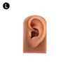 Modelo de Exhibición de Auriculares de Oreja de Silicona Joyería de Pendientes de Oreja Práctica de Limpieza de Orejas Prop de Enseñanza de Simulación del Cuerpo Humano