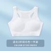 Desarrollo de Segunda Etapa Sin Costuras para Niñas Adolescentes de Secundaria Chaleco Transpirable y Delicado con la Piel Verano Sujetador para Niña