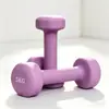 Halteres de Ferro Fundido Fosco Revestidos de Plástico para Uso Doméstico, Halteres Pequenos Exclusivos para Mulheres, Equipamento de Fitness para Exercício de Braço em Casa