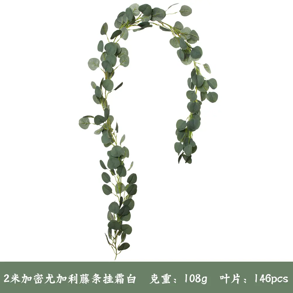 尤加利挂霜白