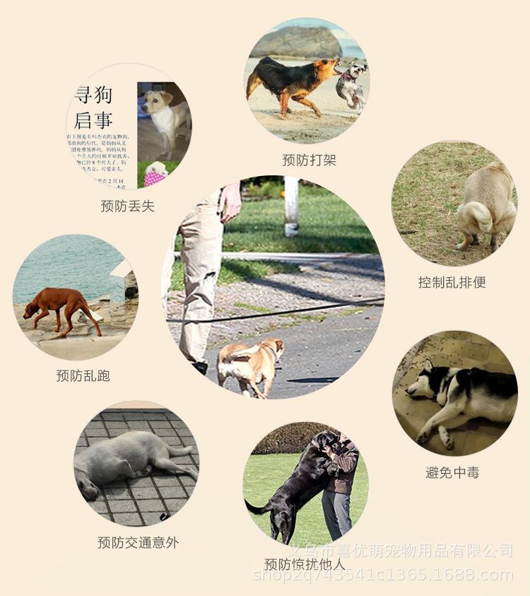 狗狗挂绳_05.jpg